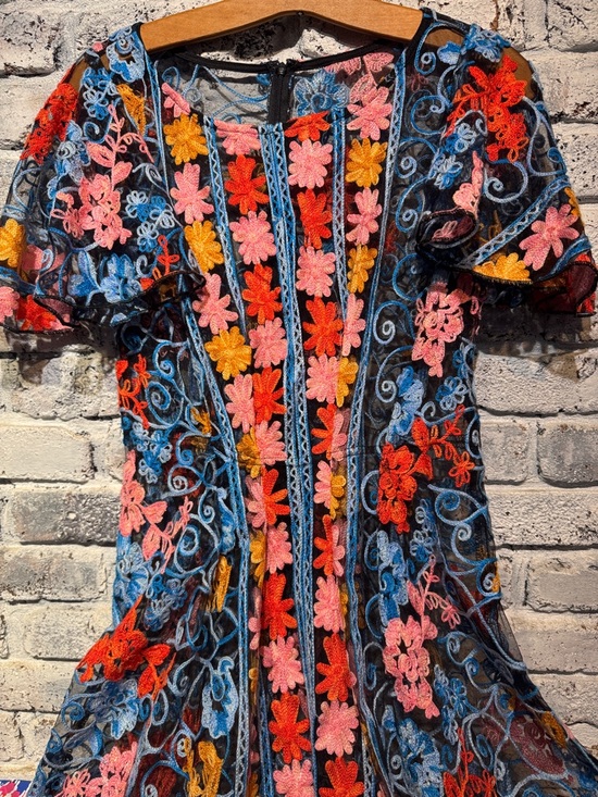 Anthropologie Eva Franco Multicolor Floral Embroidery Dress - Picture 4 of 6